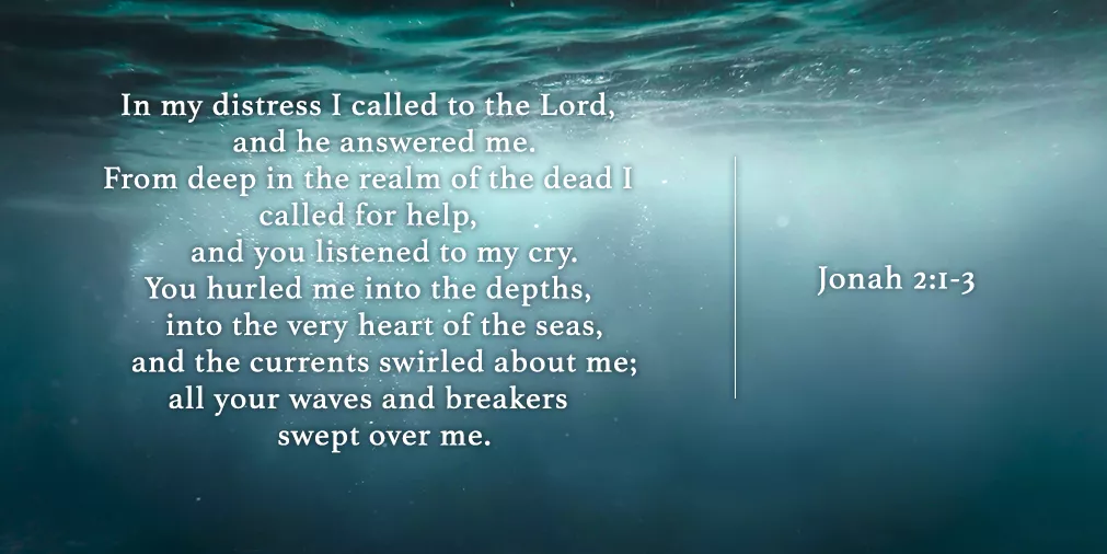 Jonah 2:1-3 NIV