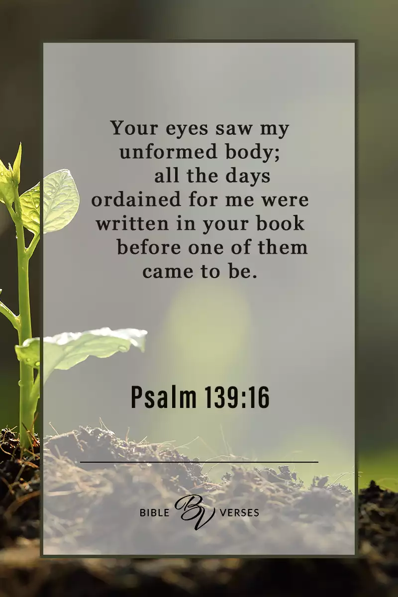 Psalm 139:16