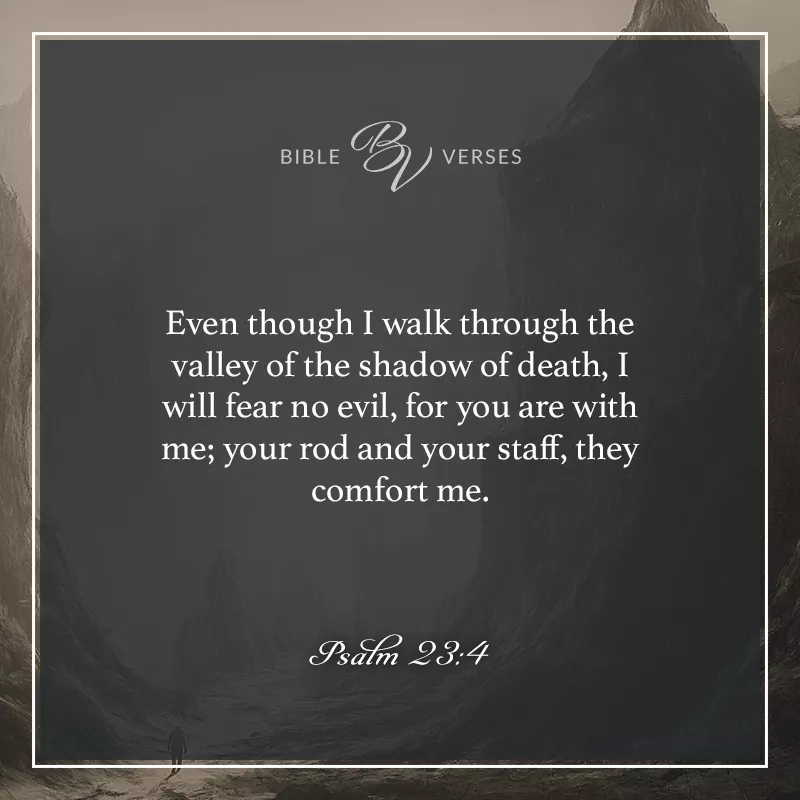 Psalm 23:4