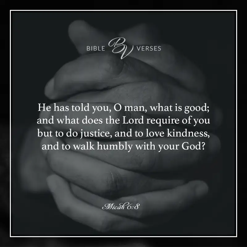 Bible verses about kindness.

He has told you, O man, what is good; and what does the Lord require of you but to do justice, and to love kindness, and to walk humbly with your God?

Micah 6:8