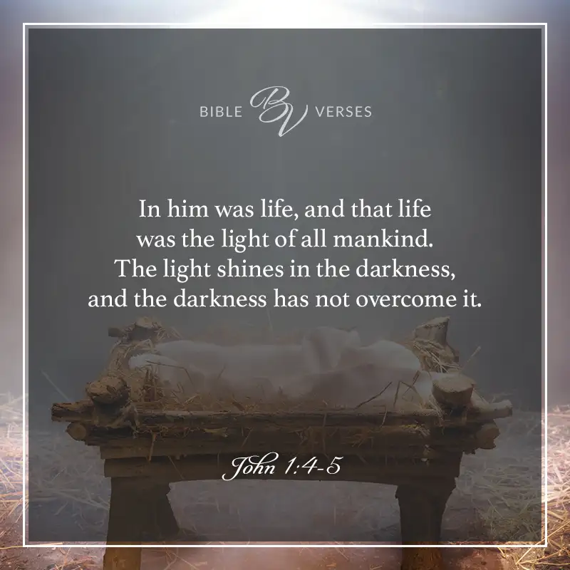 bible verses about light

In him was life, and that life was the light of all mankind. The light shines in the darkness, and the darkness has not overcome it.

John 1:4-5