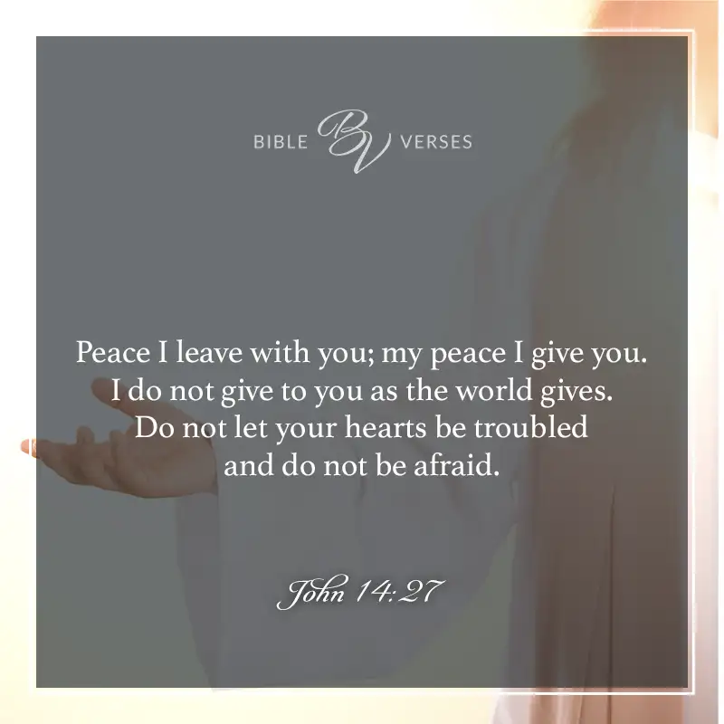 bible verses about peace

Peace I leave with you; my peace I give you. I do not give to you as the world gives. Do not let your hearts be troubled and do not be afraid.

John 14:27