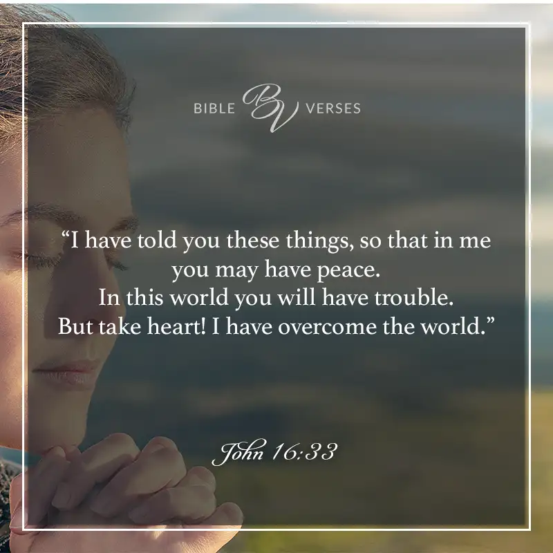 bible verses about peace

"I have told you these things, so that in me you may have peace. In this world you will have trouble. But take heart! I have overcome the world."

John 16:33
