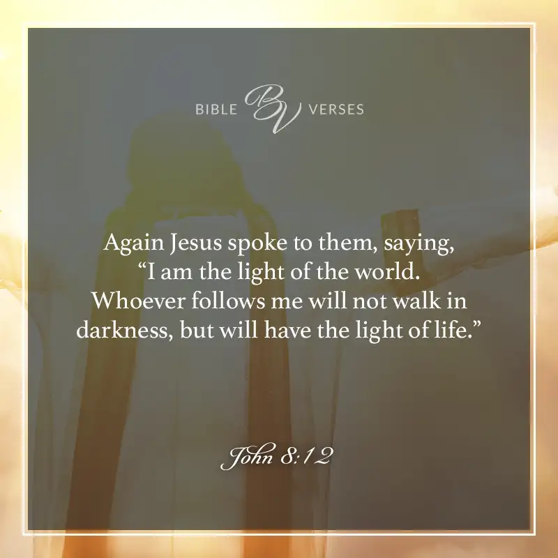 bible verses about light

Again Jesus spoke to them, saying, "I am the light of the world. Whoever follows me will not walk in darkness, but will have the light of life."

John 8:12
