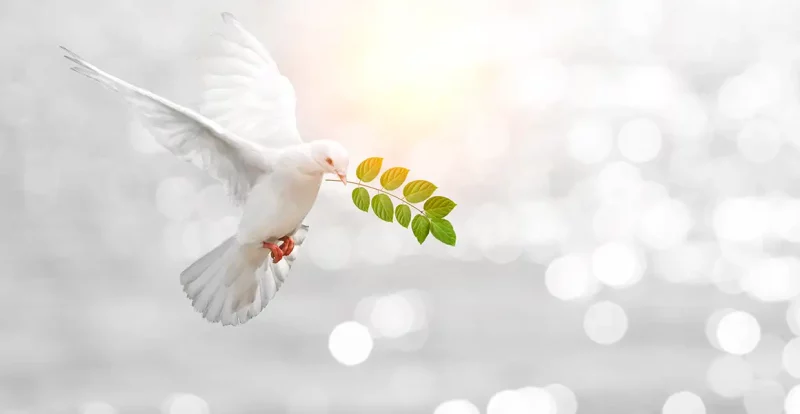 bible verses about peace