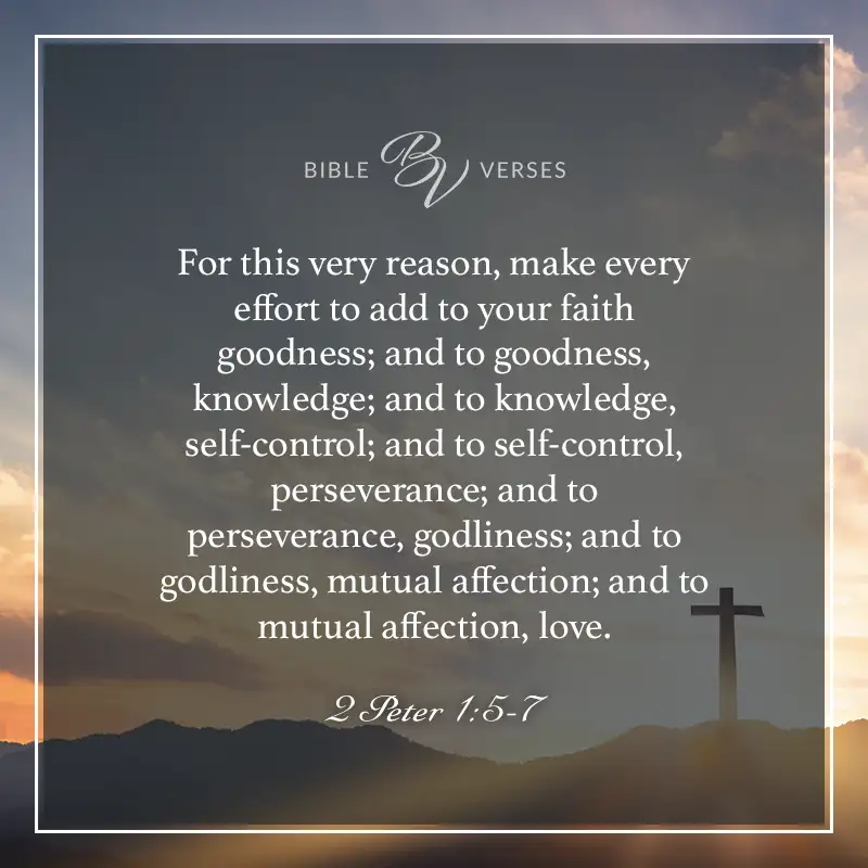 Bible verses about perseverance.

For this very reason, make every effort to add to your faith goodness; and to goodness, knowledge; and to knowledge, self-control; and to self-control, perseverance; and to perseverance, godliness; and to godliness, mutual affection; and to mutual affection, love.

2 Peter 1:5-7