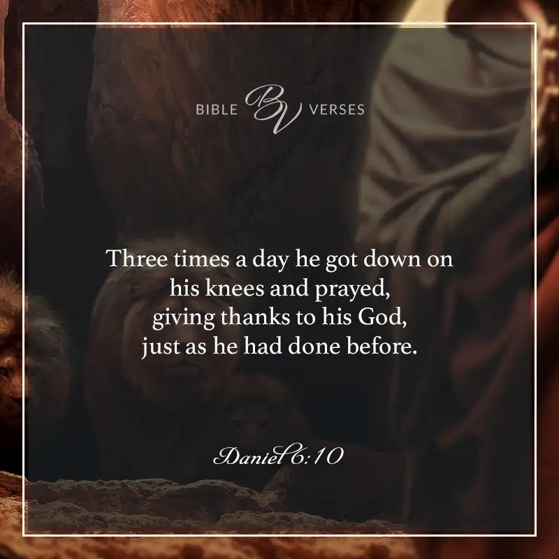 Bible verses about thankfulness:

Three times a day he got down on his knees and prayed, giving thanks to his God, just as he had done before.

Daniel 6:10