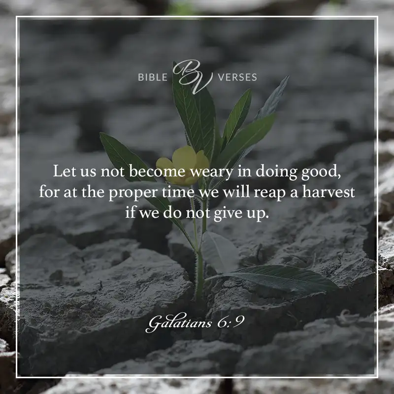 Bible verses about perseverance. Let us not become weary in doing good, for at the proper time we will reap a harvest if we do not give up. Galatians 6:9