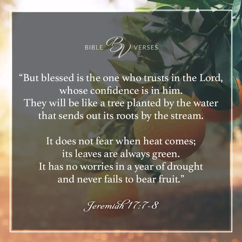 Bible verses about trusting God: Jeremiah 17:7-8