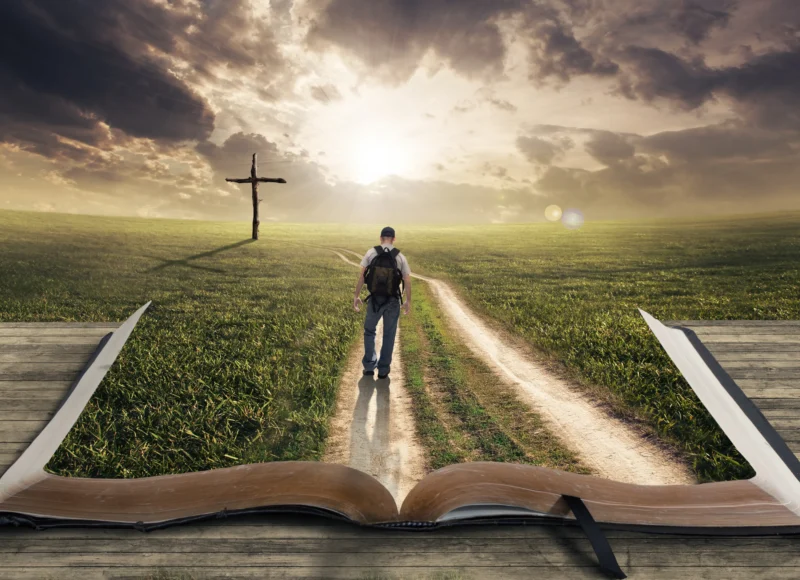 Bible verses about Life