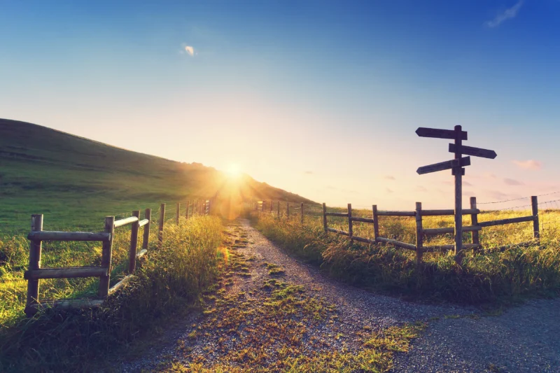 Bible verses about trusting God