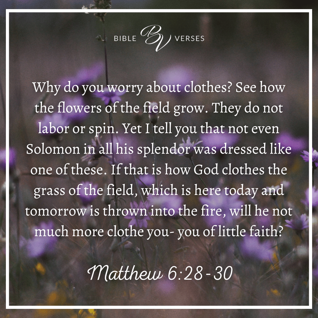 Bible verses about flowers: Matthew 6:28-30. “And why do you worry about clothes? See how the flowers of the field grow. They do not labor or spin. Yet I tell you that not even Solomon in all his splendor was dressed like one of these. If that is how God clothes the grass of the field, which is here today and tomorrow is thrown into the fire, will he not much more clothe you- you of little faith?”