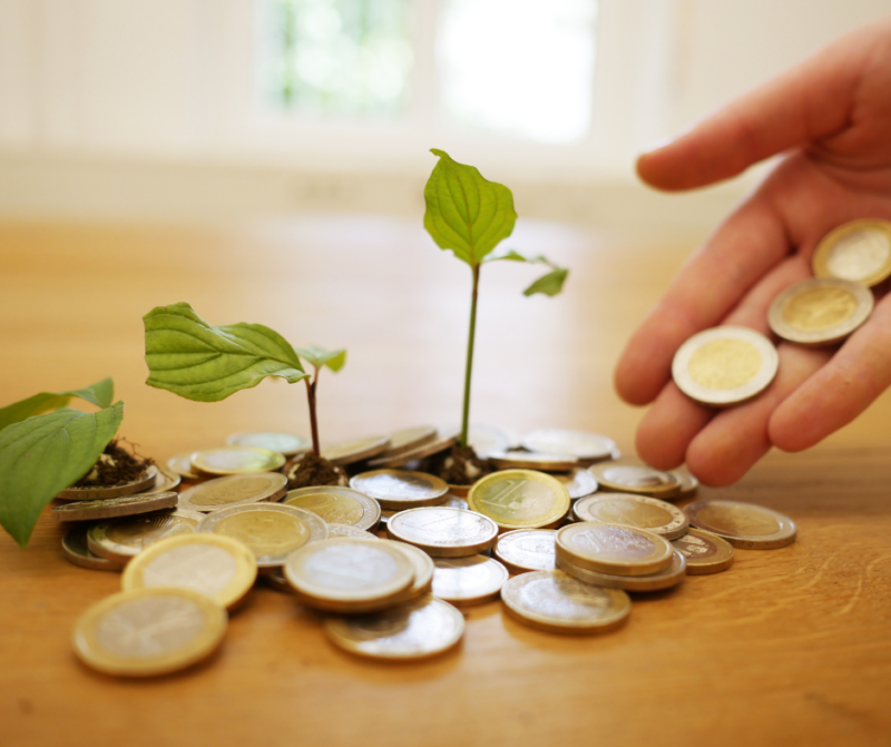 Bible verses about money: coins with trees growing up