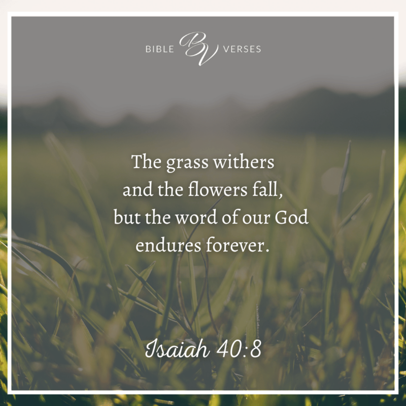 Isaiah-408