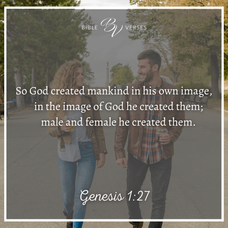 Genesis-1_27