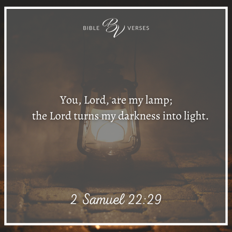2-Samuel-22_29