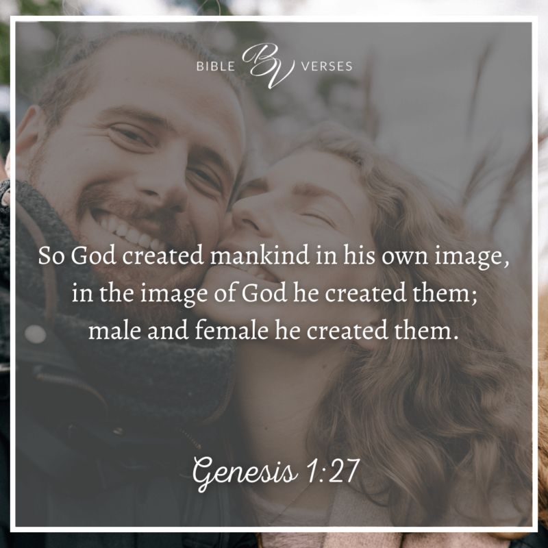 Genesis-1_27